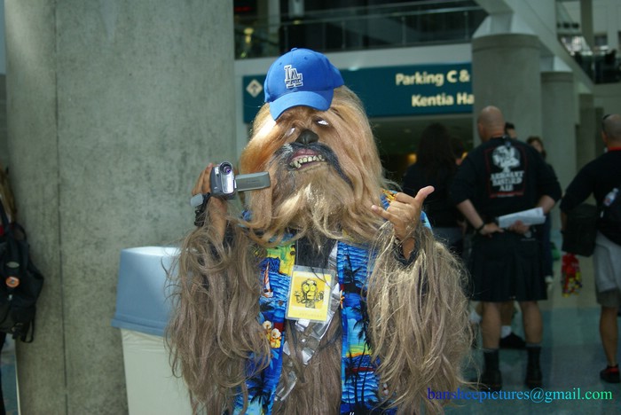 c4_chewie_02.jpg
