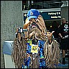 c4_chewie_02.jpg