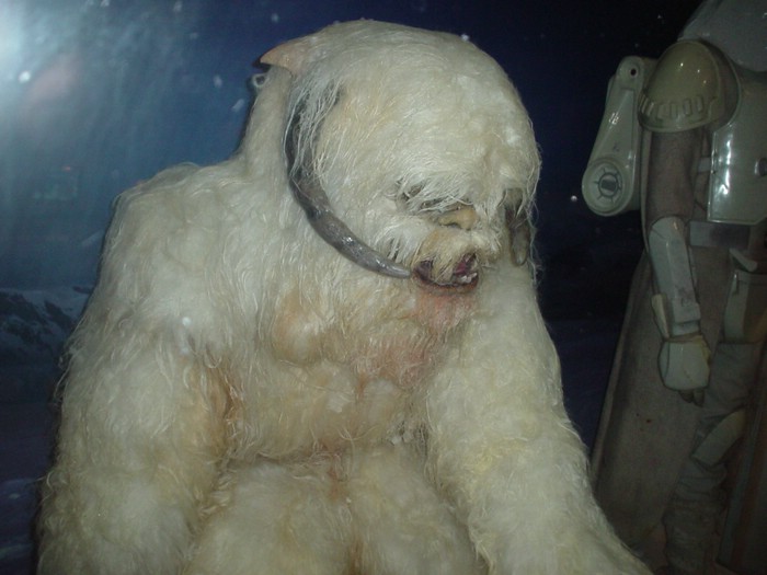 Wampa.JPG