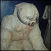 Wampa.JPG